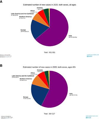 Descriptive epidemiology of the head and neck cancers in old patients